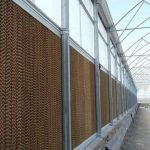 فروش پد سلولزی گلخانه