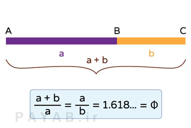 تعریف نسبت طلایی