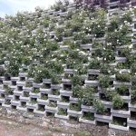 گلفوژ فلاورباکس بتنی