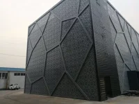 طراحی و اجرای نمای cnc و پانچ متال